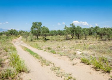  Bozkır yaz. Turgai kapısı. Turgai Kaydet. Milli Parkı 