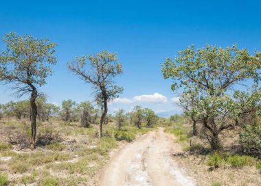  Bozkır yaz. Turgai kapısı. Turgai Kaydet. Milli Parkı 