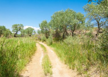  Bozkır yaz. Turgai kapısı. Turgai Kaydet. Milli Parkı 