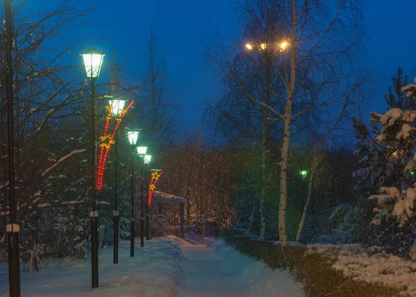 Winter Winter Tij Winter Tijd Hibernate Hij Koudste Seizoen Van — Stockfoto