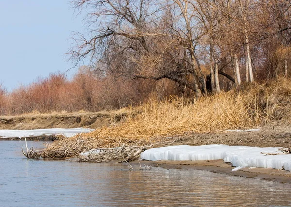 Último Hielo Del Río Último Témpano Última Aguja Hielo Río — Foto de Stock