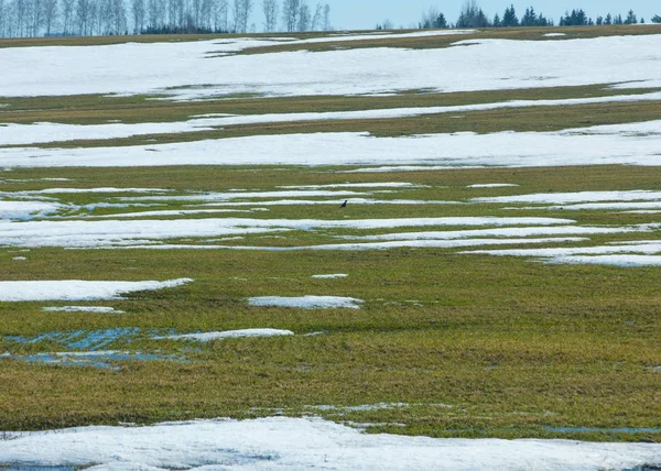 Neve Primavera Inverno Passado Árvores — Fotografia de Stock