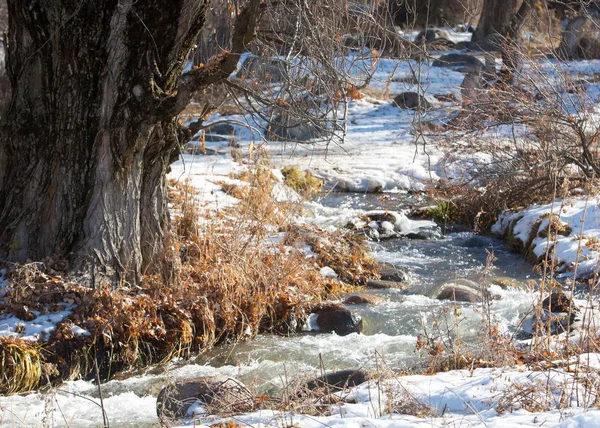去年春天雪融化的水 在春天布鲁克斯纹理在晴朗的一天 河溪流 春天的河上冰融化 — 图库照片