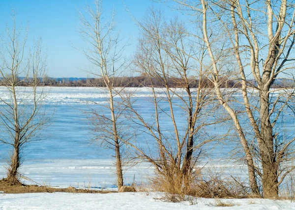 River Πλημμύρας Διχασμένη Ποταμού Πάγου Ποταμός Την Τελευταία Πάγου Ρωσία — Φωτογραφία Αρχείου