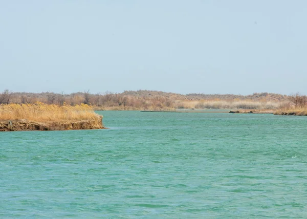 Manantial Río Primavera Asia Central Kazajstán Estepa Río Semirechye — Foto de Stock