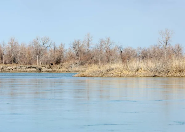 Річка Весни Весна Річка Центральній Азії Казахстан Степ Річки Семирічинське — стокове фото