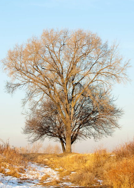  Early spring landscape with rocks and woods