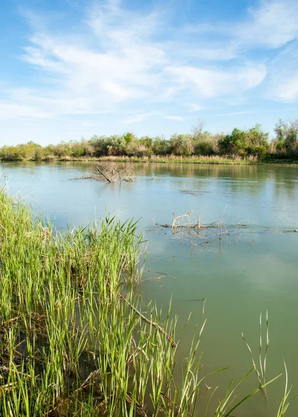 Steppe Fluss Schilf Sommer Blick Auf Den Fluss Kleiner Blauer — Stockfoto