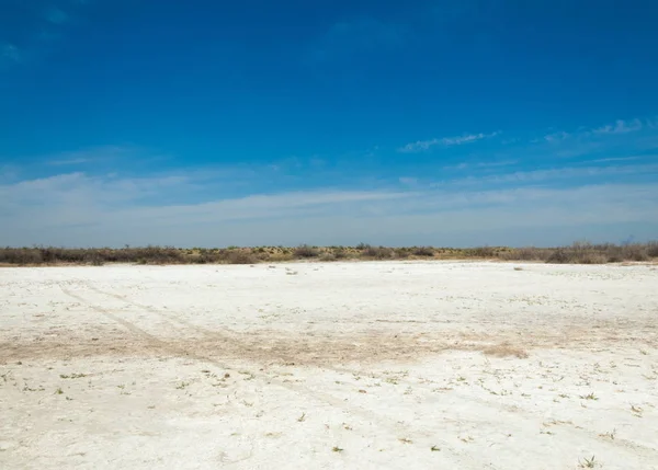 Saline Zoutmoeras Etosha Badlands Één Struik Kazachstan — Stockfoto