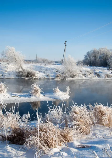 Hiver Marée Hiver Hibernation Saison Froide Année — Photo