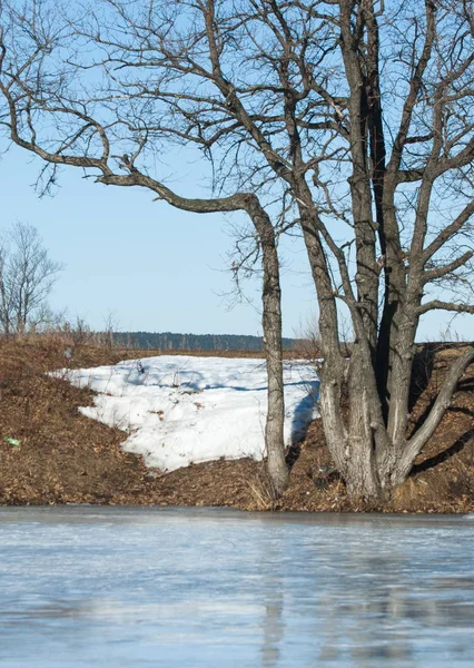 在春天的冰的湖 春天冰 — 图库照片