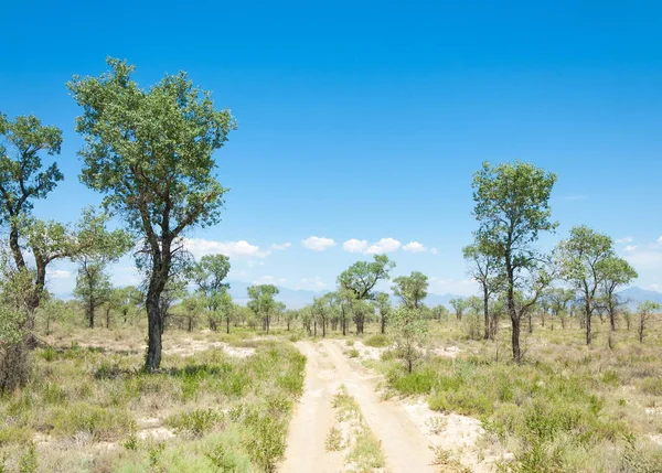 Steppensommer. turgai sparen. See in der Wüste — Stockfoto