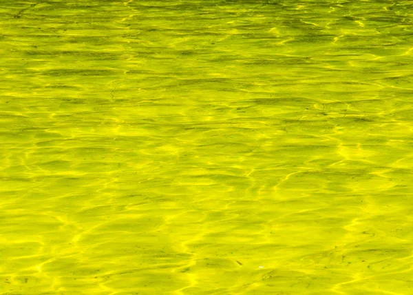 Νερό Στην Κίτρινη Πισίνα Παιδική Χαρά Για Την Βόλτα — Φωτογραφία Αρχείου
