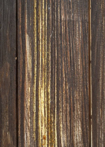 Textura Estrutura Madeira Velha — Fotografia de Stock