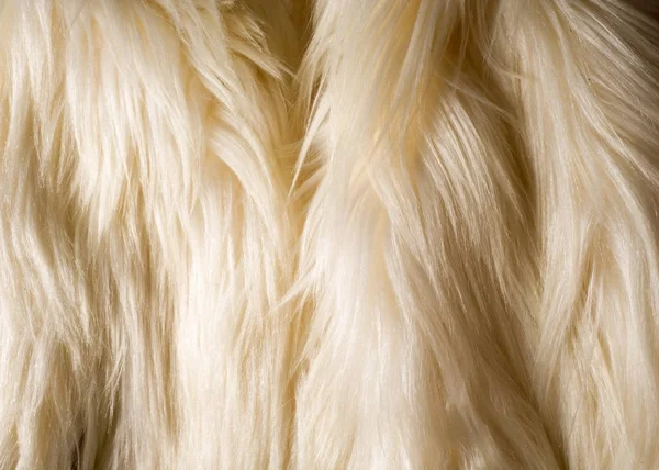 Tekstury Tła Futro Białego Yak Duże Udomowione Dziki Wół Shaggy — Zdjęcie stockowe