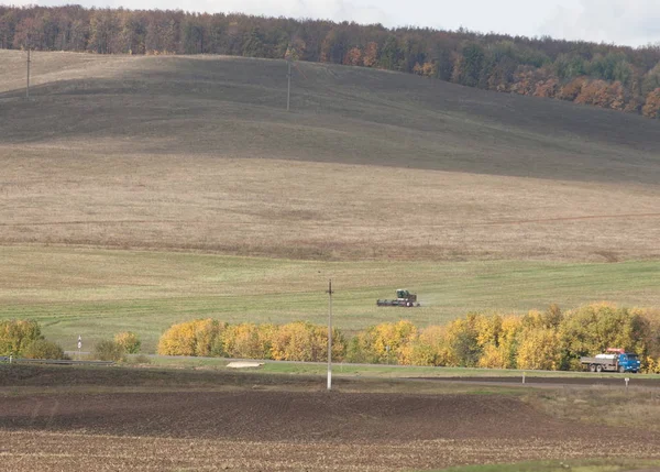 State Highway Ljusa Höstträd Del Den Road Gyllengula Tid Året — Stockfoto