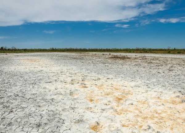 Bozkır tuzlu topraklar. tuz tuz tuz. Bozkır çayır ve