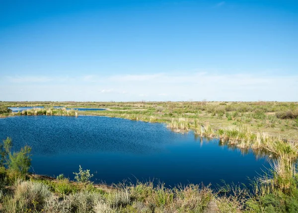 Kleiner See unter schönem Himmel, Abendszene am See in der Steppe — Stockfoto