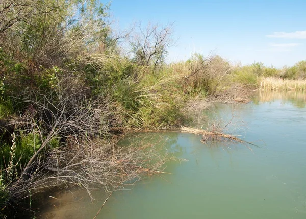 Güzel gökyüzü altında küçük bir göl. Bozkır içinde bataklıkta ile güzel yaz günü manzara. Göl sahnesinde yaz