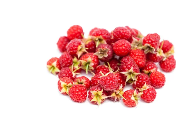 Framboos Een Eetbare Zacht Fruit Verband Met Blackberry Bestaande Uit — Stockfoto