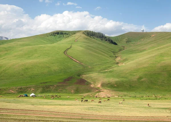 Berg, mount, hill — Stockfoto