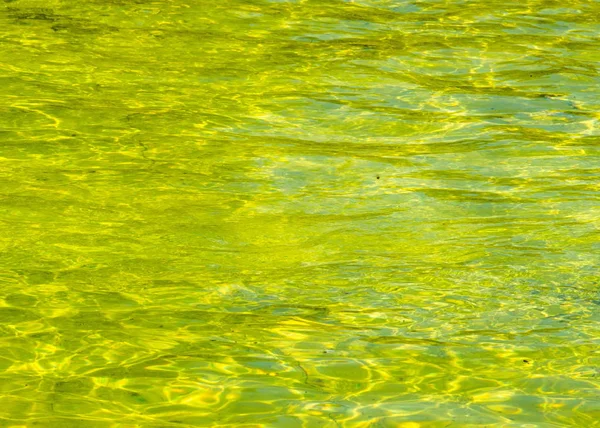 Texture Sfondo Acqua Piscina Piscina Giallo Acqua Gialla — Foto Stock