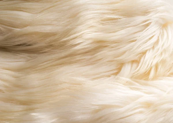 Tekstury Tła Futro Białego Yak Duże Udomowione Dziki Wół Shaggy — Zdjęcie stockowe