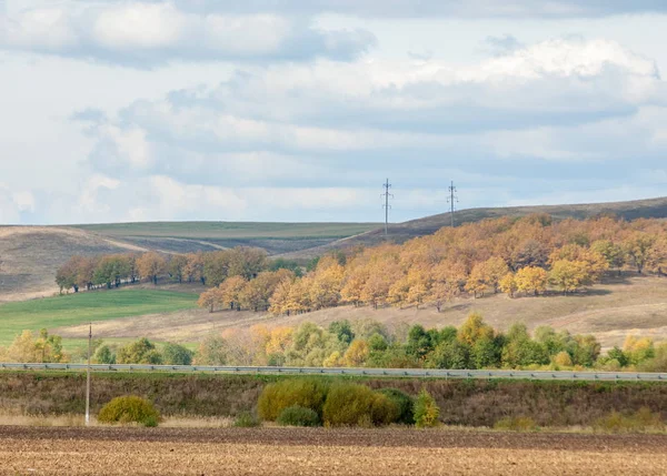 Karayolu. parlak sonbahar ağaçlar. Yol, altın zaman yılın parçası