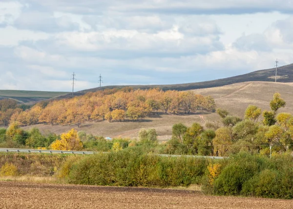 State Highway Ljusa Höstträd Del Den Road Gyllengula Tid Året — Stockfoto