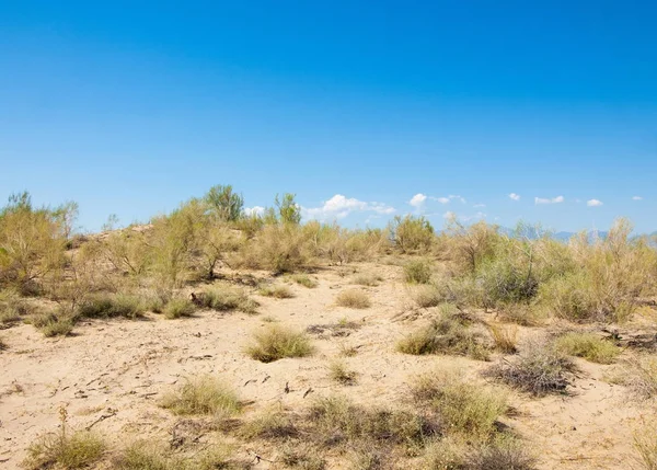  Bozkır yaz. Turgai kapısı. Turgai Kaydet. Milli Parkı 