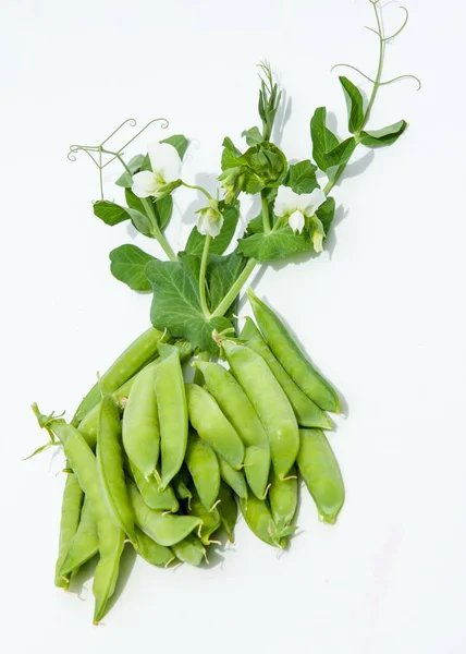 Grüne Erbsen Der Schote Erbsen Erbsen Erbsen Kugeln — Stockfoto