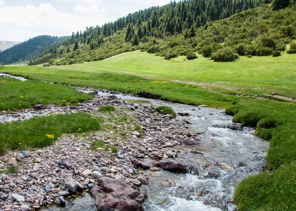 Mountain, mount, hill — Stock Photo, Image