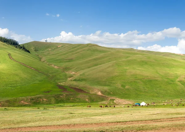 Hegyi, hegy, domb — Stock Fotó