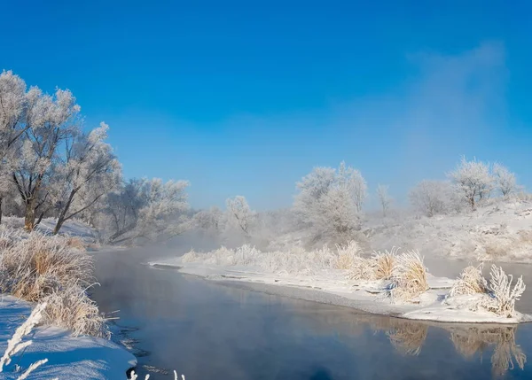 Winter Winter Tij Winter Tijd Hibernate Hij Koudste Seizoen Van — Stockfoto