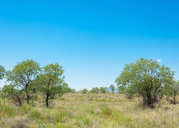  Bozkır yaz. Turgai kapısı. Turgai Kaydet. Milli Parkı 