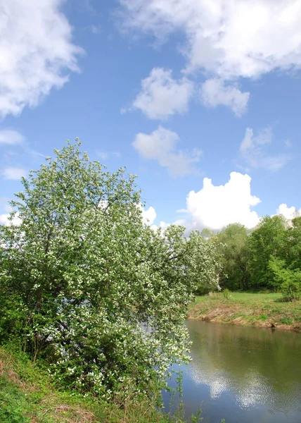 Zomer Hemel Wolken Rivier Panorama Een Zonnige Zomerdag Blauwe Hemel — Stockfoto