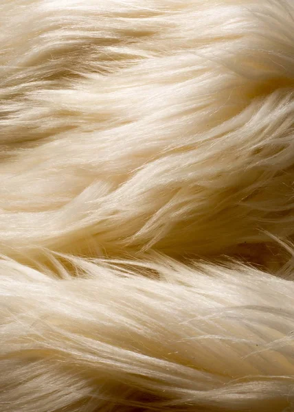 Текстури Фону Білого Хутра Великий Одомашнених Диких Бика Shaggy Волосся — стокове фото