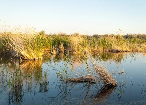 Malé Jezero Pod Pěknou Oblohou Večerní Scény Jezeře Stepi Krajina — Stock fotografie