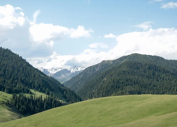 Góra Góra Wzgórze Kazachstan Tien Shan Assy Płaskowyżu — Zdjęcie stockowe