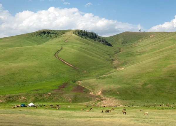 Hegyi, hegy, domb — Stock Fotó