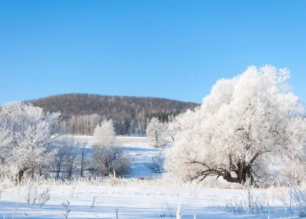 Winter, Winter-Flut, Winter-Zeit — Stockfoto