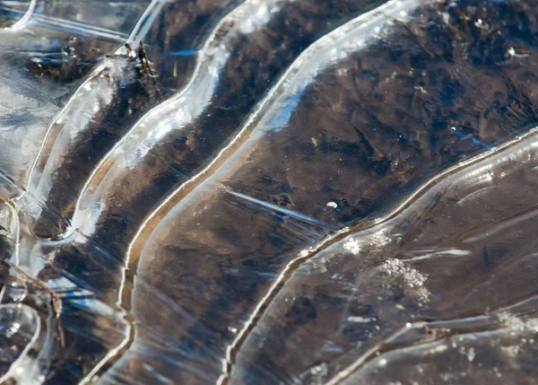 Doku. Donmuş su birikintisi — Stok fotoğraf