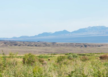  Bozkır yaz. Turgai kapısı. Turgai Kaydet. Milli Parkı 