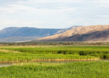 Bozkır yaz. Turgai Kaydet. Çölde Gölü