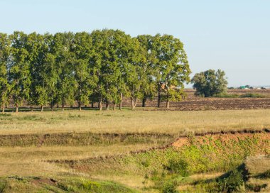 Yaz aylarında taze sürülmüş alan, saman yığınları, kavak