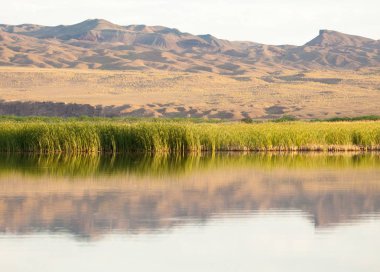 Bozkır yaz. Turgai Kaydet. Çölde Gölü