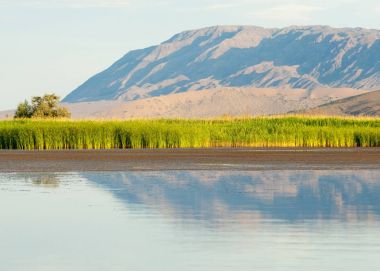 Bozkır yaz. Turgai Kaydet. Çölde Gölü