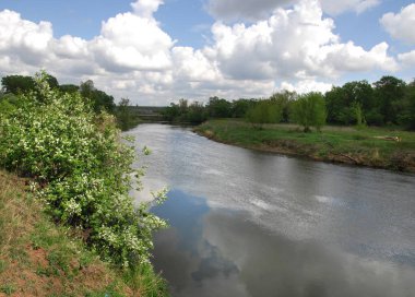 Vezi de mongolă pustie zona - înflorire Lunca şi zada lemn - sayan munte - gorhi-terelj national park - Parcul mongolianational - mongolia