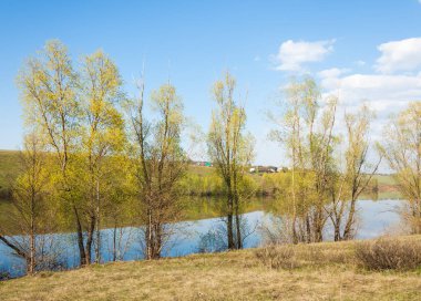 bahar Gölü. Su birikintisi bahar. Bahar park göl. bahar Gölü sahne. Bahar gölün kıyısında.