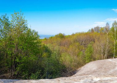 Son kar, yeşil ağaçlar. Bir orman hillside bahar yeşil kar son parça. Yeşil bahar kayın ormanı tepe üzerinde son karda. Nisan hava.